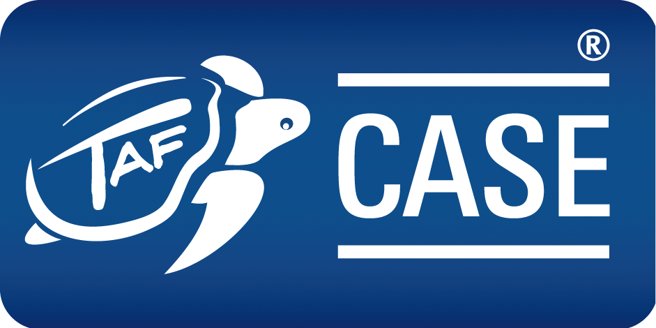 Zur Startseite gehen